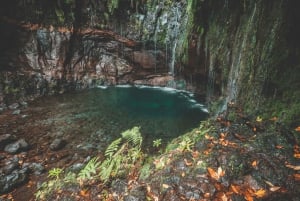 Madeira: Rabaçal Valley and the 25 Fountains Hike