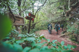 Madeira: Rabaçal Valley and the 25 Fountains Hike