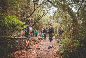 Madeira: Rabaçal Valley and the 25 Fountains Hike