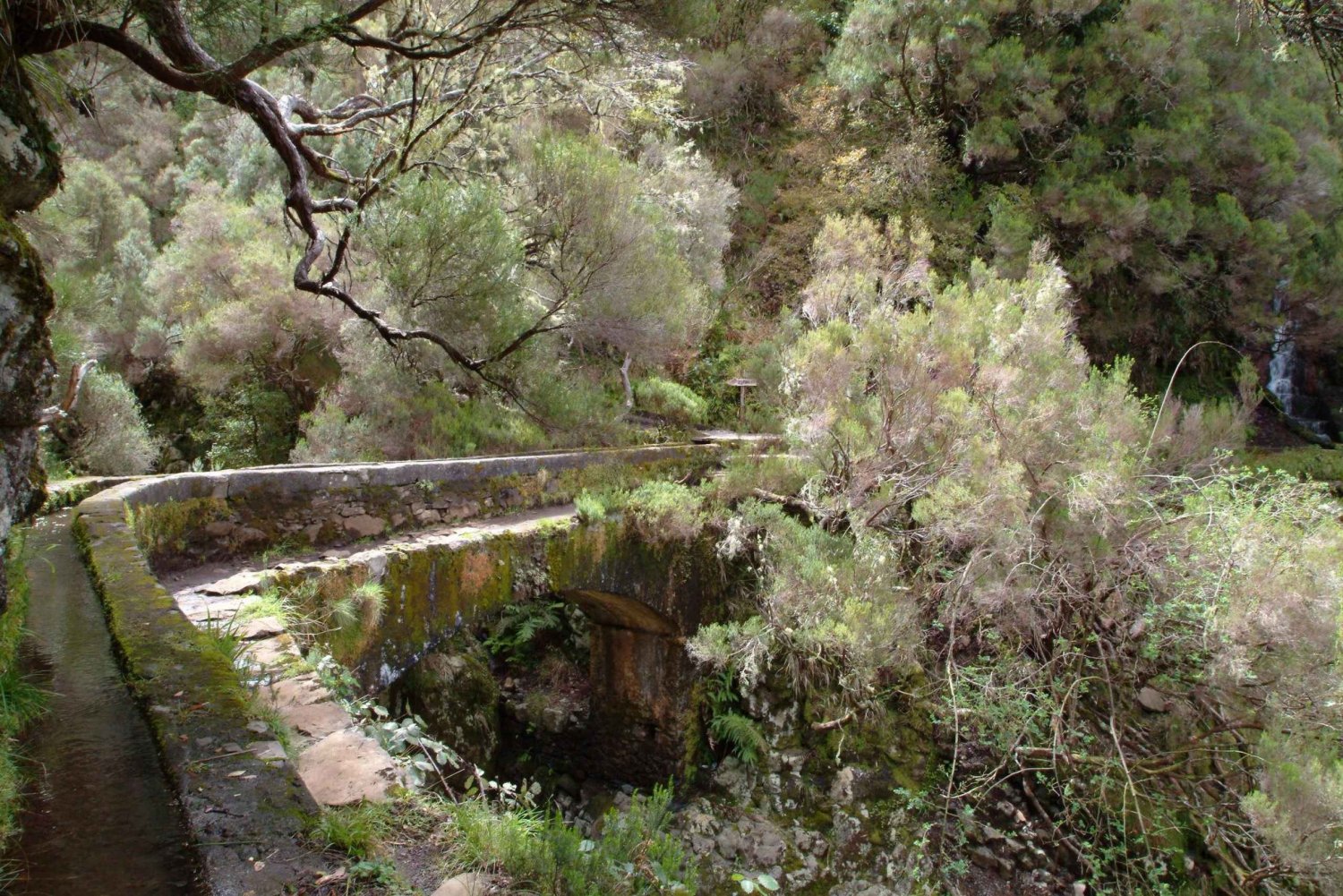 Madeira: Rabaçal Valleys 3-Hour Guided Walk