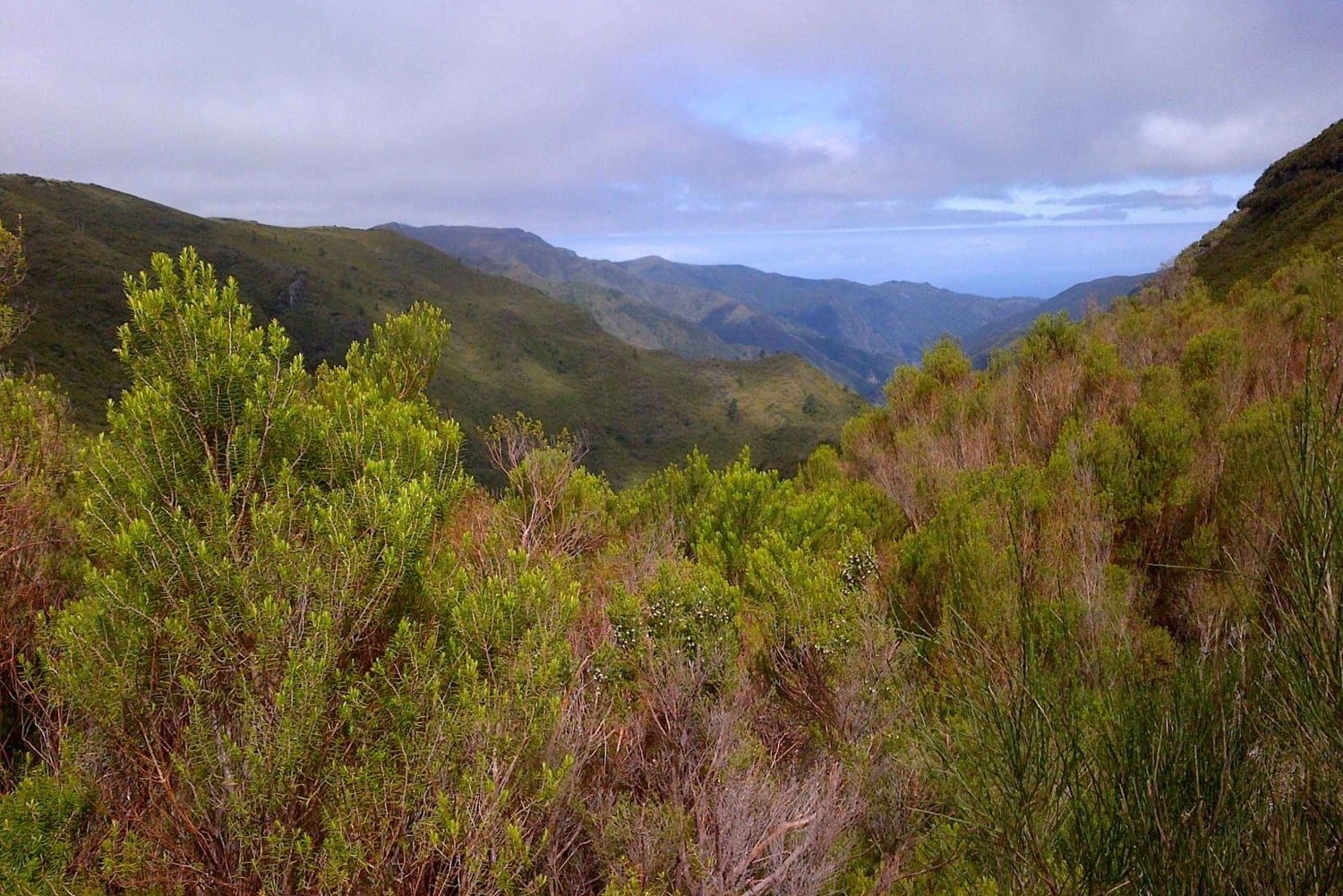 Madeira: Paseo guiado de 3 horas por los Valles del Rabaçal
