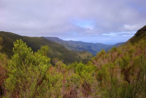 Madeira: Rabaçal Valleys 3-Hour Guided Walk