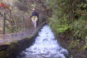 Madeira: Rabaçal Valleys 3-Hour Guided Walk