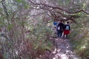 Madeira: Rabaçal Valleys 3-Hour Guided Walk