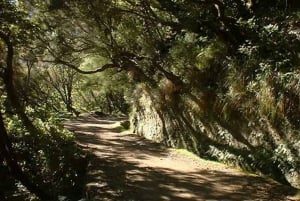 Madeira: Rabaçal Valleys 3-Hour Guided Walk