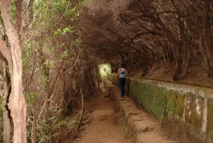 Madeira: Rabaçal Valleys 3-Hour Guided Walk