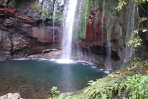 Madeira: Rabaçal Valleys 3-Hour Guided Walk