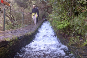 Madeira: Paseo guiado de 3 horas por los Valles del Rabaçal