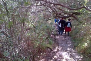 Madeira: Paseo guiado de 3 horas por los Valles del Rabaçal