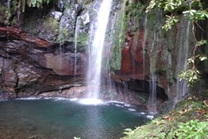 Madeira: Paseo guiado de 3 horas por los Valles del Rabaçal