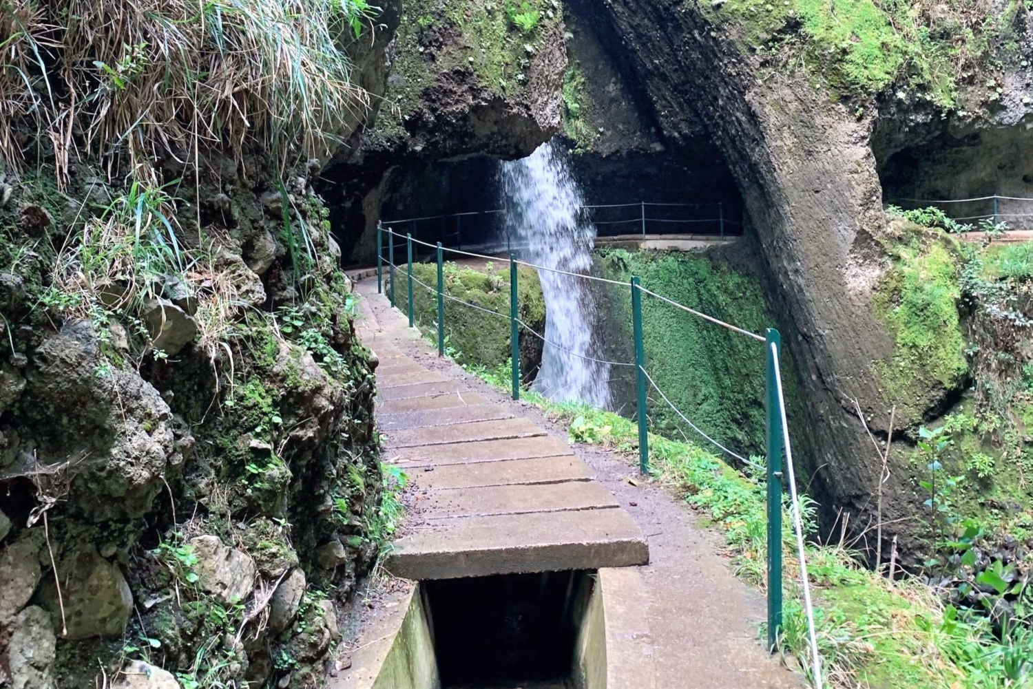 Madera: Dotrzyj do słońca podczas wędrówki Levada Nova Moinhos Ponta do Sol