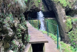 Madera: Dotrzyj do słońca podczas wędrówki Levada Nova Moinhos Ponta do Sol