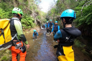 Madera: Ribeira das Cales Canyoning (poziom 1)