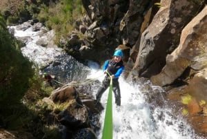 Madera: Ribeira das Cales Canyoning (poziom 1)