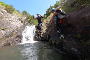 Madera: Ribeira das Cales Canyoning (poziom 1)