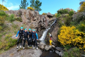 Madera: Ribeira das Cales Canyoning (poziom 1)