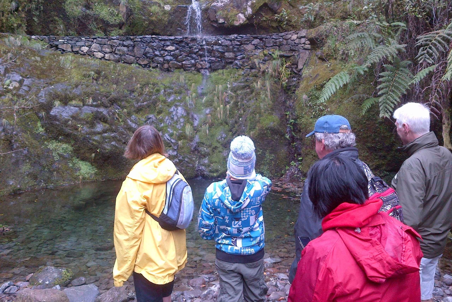 Madeira: Passeggiata guidata di 4 ore da Ribeiro Frio a Portela