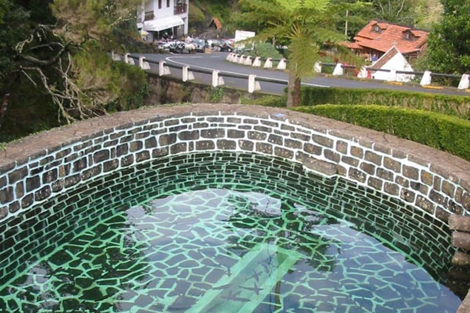 Madeira: Passeggiata guidata di 4 ore da Ribeiro Frio a Portela