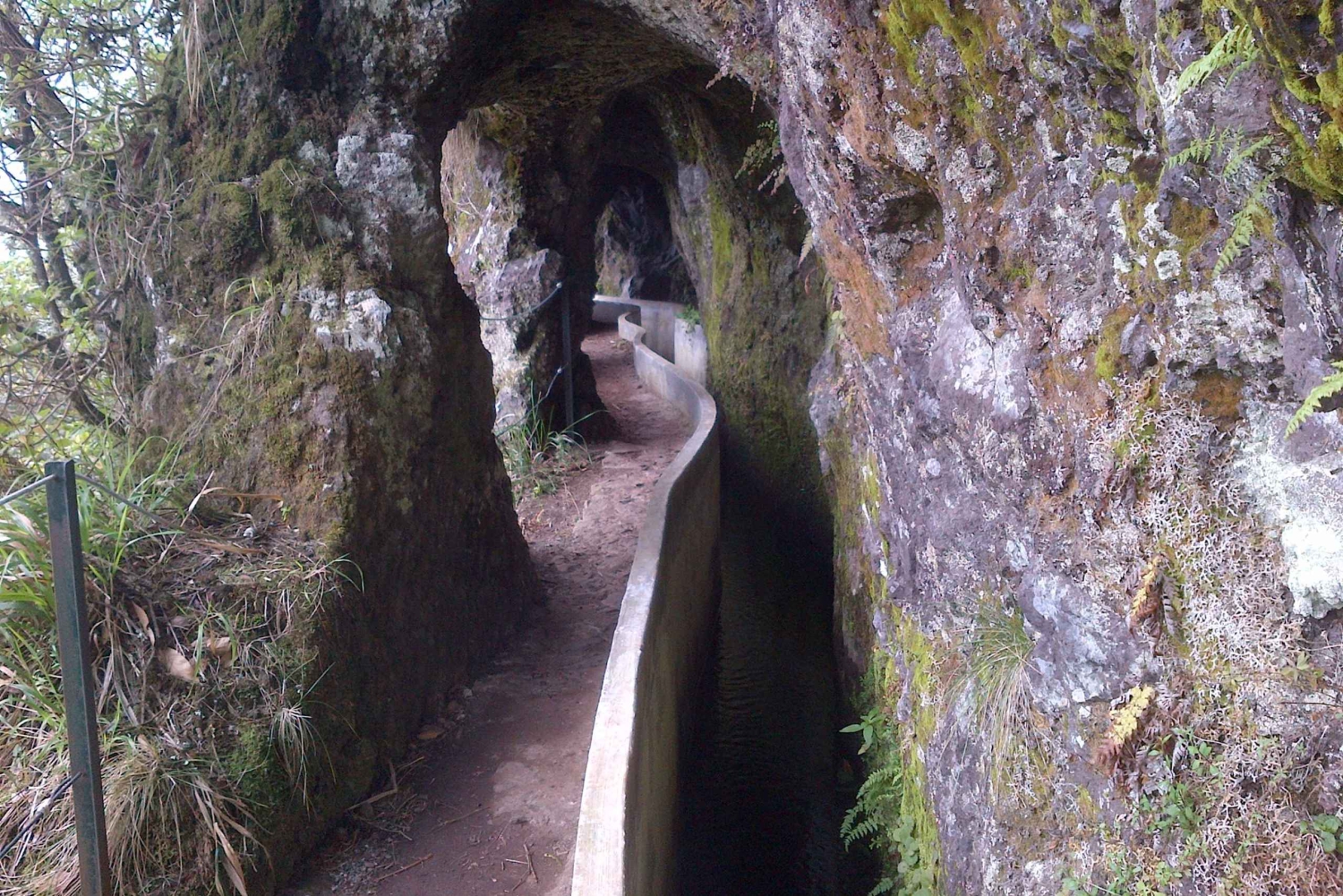 Madeira: Passeggiata guidata di 4 ore da Ribeiro Frio a Portela