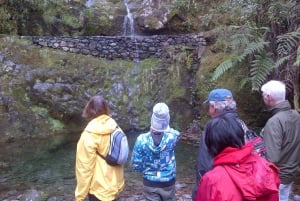 Madeira: Ribeiro Frio to Portela 4-Hour Guided Walk