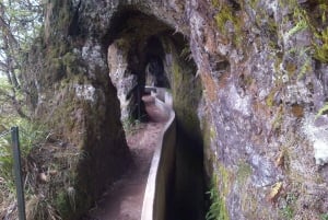 Madeira: Ribeiro Frio to Portela 4-Hour Guided Walk