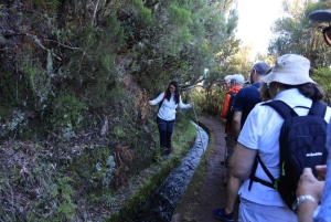 Madeiran salainen vesiputoushelmi – Lagoa do Vento