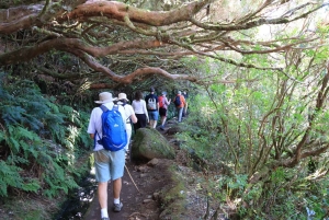 Madeiran salainen vesiputoushelmi – Lagoa do Vento