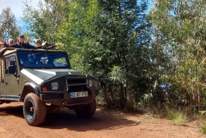 Madeira Safari Privat 4x4, Ganztag Santana oder Porto Moniz
