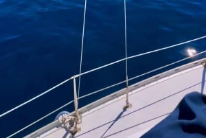 マデイラ島：魅惑の海岸セーリングツアーをお楽しみください