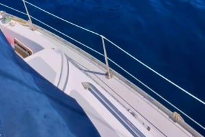 マデイラ島：魅惑の海岸セーリングツアーをお楽しみください