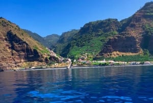 マデイラ島：魅惑の海岸セーリングツアーをお楽しみください