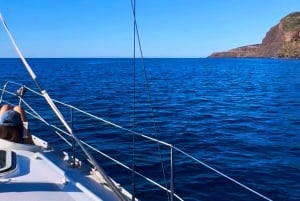 マデイラ島：魅惑の海岸セーリングツアーをお楽しみください