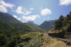 Madeira: Santana 6-Hour Full-Day Tour