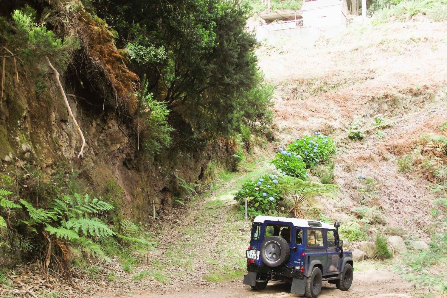 Madeira: Santana; Upptäck den charmiga östra delen: Varaktighet 7,5 timmar