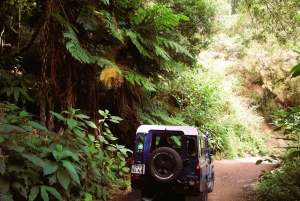 Madeira: Santana; Upptäck den charmiga östra delen: Varaktighet 7,5 timmar