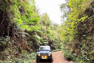 Madeira: Santana; Upptäck den charmiga östra delen: Varaktighet 7,5 timmar