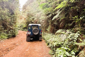 Madeira: Santana; Upptäck den charmiga östra delen: Varaktighet 7,5 timmar