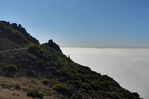 Madeira: Santana; Upptäck den charmiga östra delen: Varaktighet 7,5 timmar