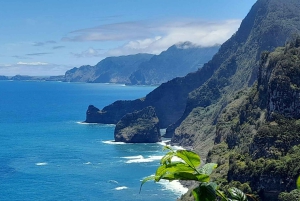 Madeira: Santana; Upptäck den charmiga östra delen: Varaktighet 7,5 timmar