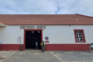 Madeira: Santana; Upptäck den charmiga östra delen: Varaktighet 7,5 timmar