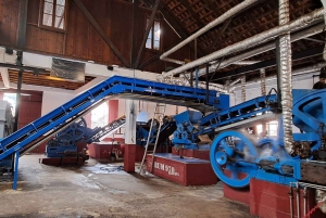 Madeira: Santana; Upptäck den charmiga östra delen: Varaktighet 7,5 timmar