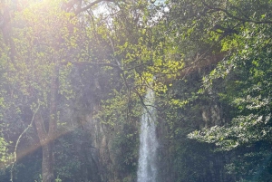 Madeira: Santana; Discover the enchanting East: Duration 7,5h