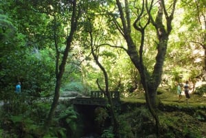 Madeira: Safari de Jeep em Santana e Caminhada pela Levada dos Balões