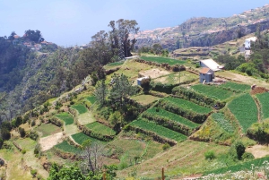Madeira: safari en jeep por Santana y ruta de senderismo por la levada de Balhões