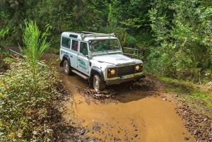 Madeira: safari en jeep por Santana y ruta de senderismo por la levada de Balhões