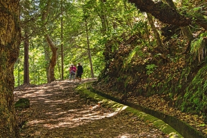 Madeira: safari en jeep por Santana y ruta de senderismo por la levada de Balhões