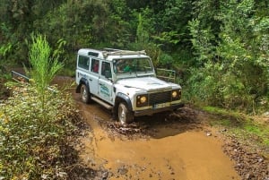 Madeira: Santana Jeep Safari and Levada Tour