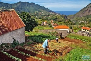 Madeira: Santana Jeep Safari and Levada Tour