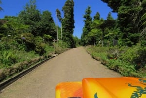 Madeira: Santana Jeep Tour Revealing the East's Treasures