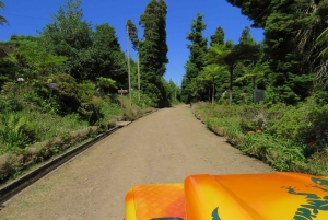 Madère : Santana Jeep Tour à la découverte des trésors de l'Orient